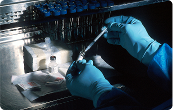 Genetic Testing & Molecular Diagnostics